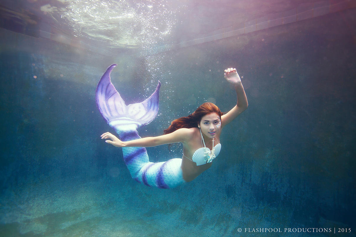 Underwater photography workshops